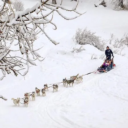 1800 Pied Des Pistes * Les Orres